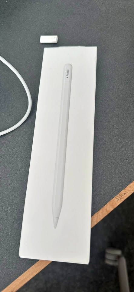 Apple Pencil USB C