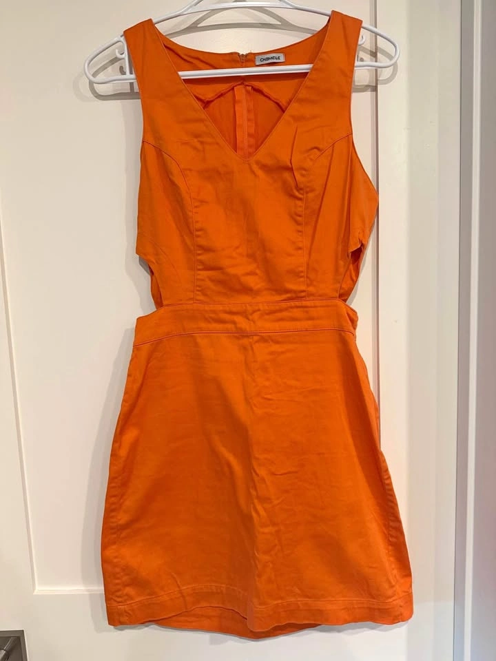 Orange Dress