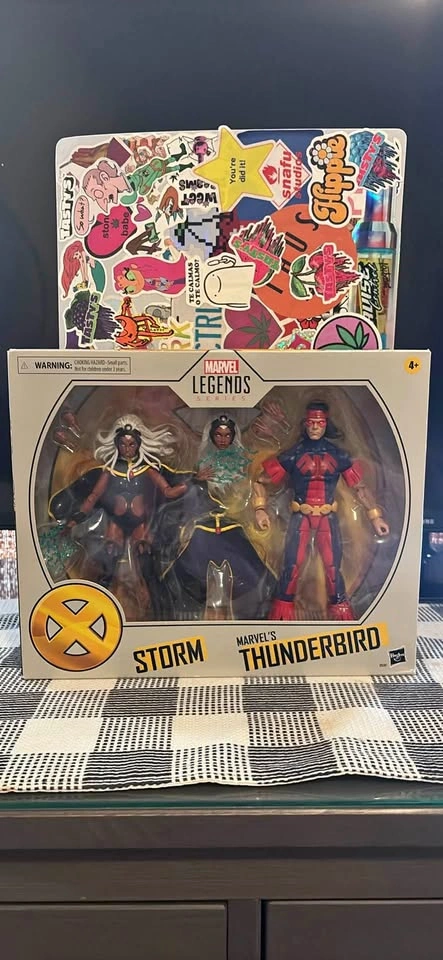 Marvel Legends X-Men 2 pack Storm x Thunderbird