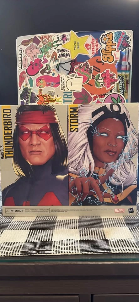 Marvel Legends X-Men 2 pack Storm x Thunderbird - photo 4
