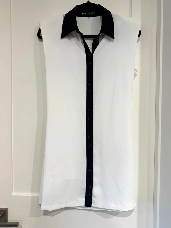 Zara Dress