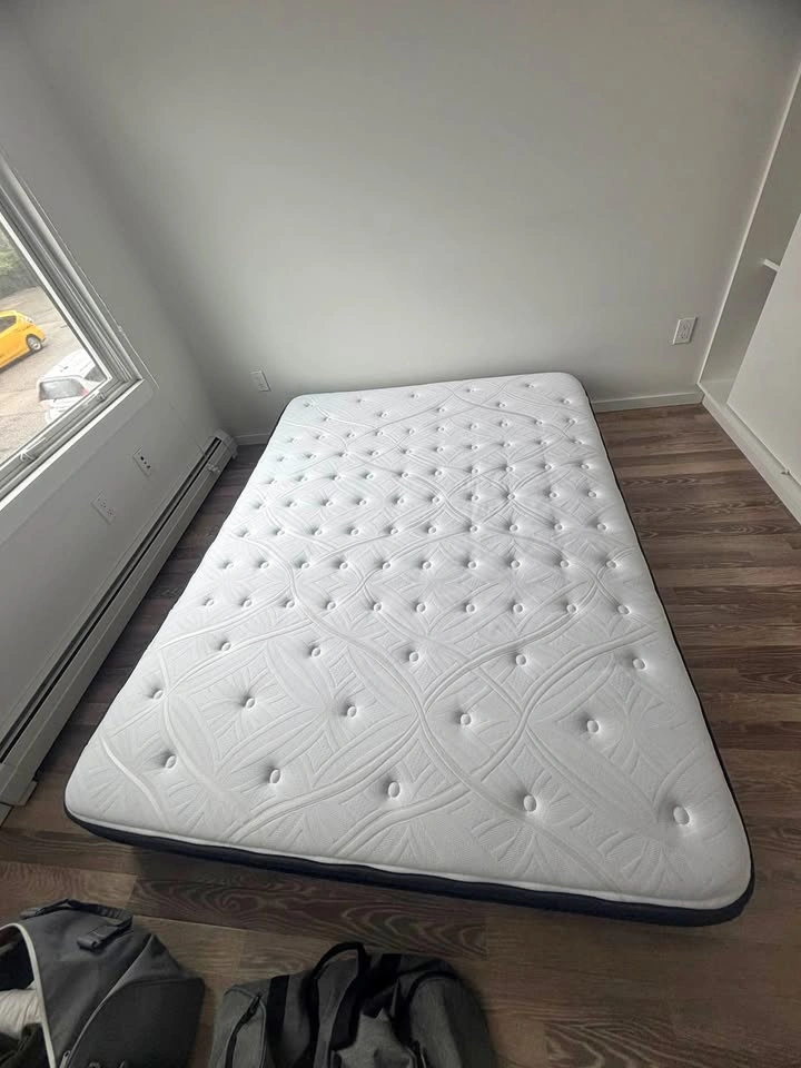 Free: Sealy Queen Size Mattress with Cover