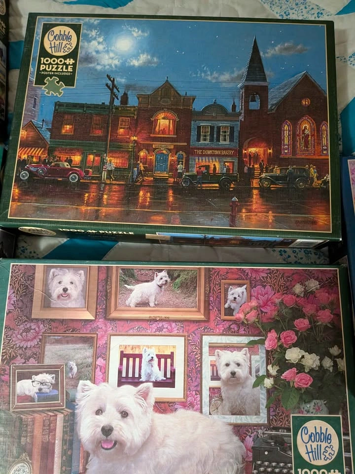 4 Puzzles - photo 4