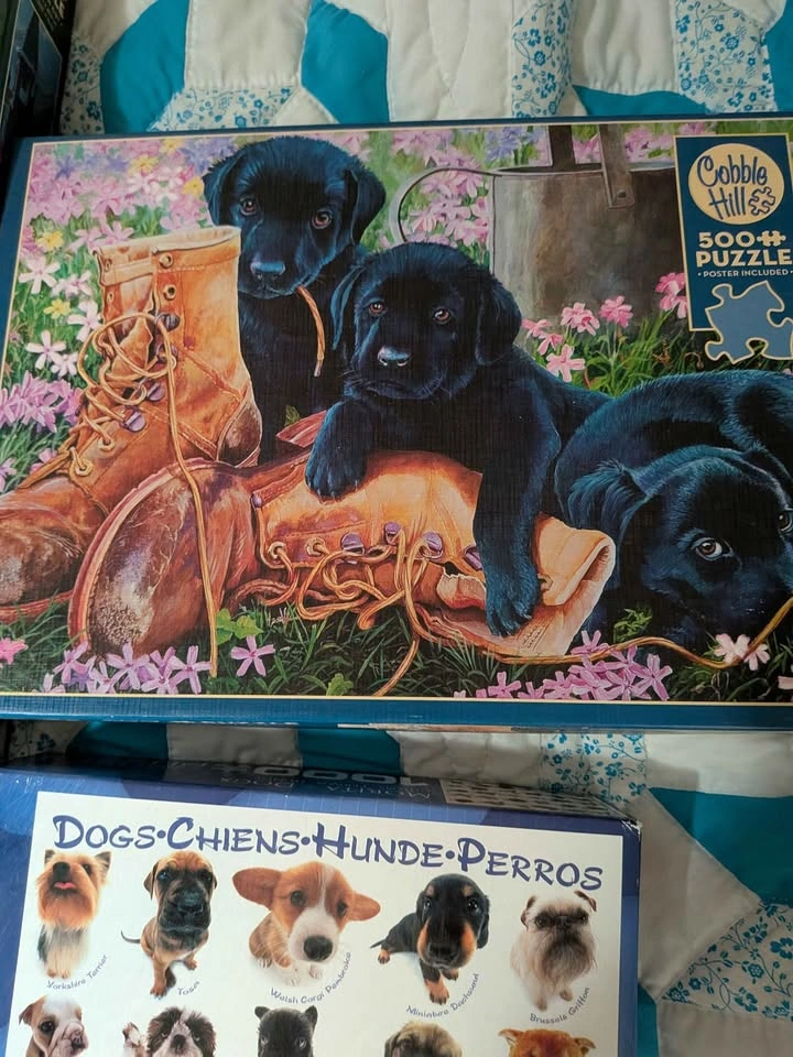 4 Puzzles - photo 5
