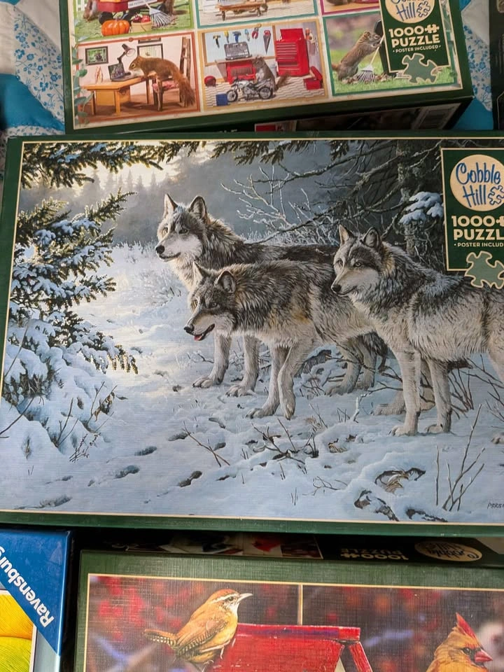 Cobble Hill and Springbok 1000 Piece Jigsaw Puzzles - photo 2