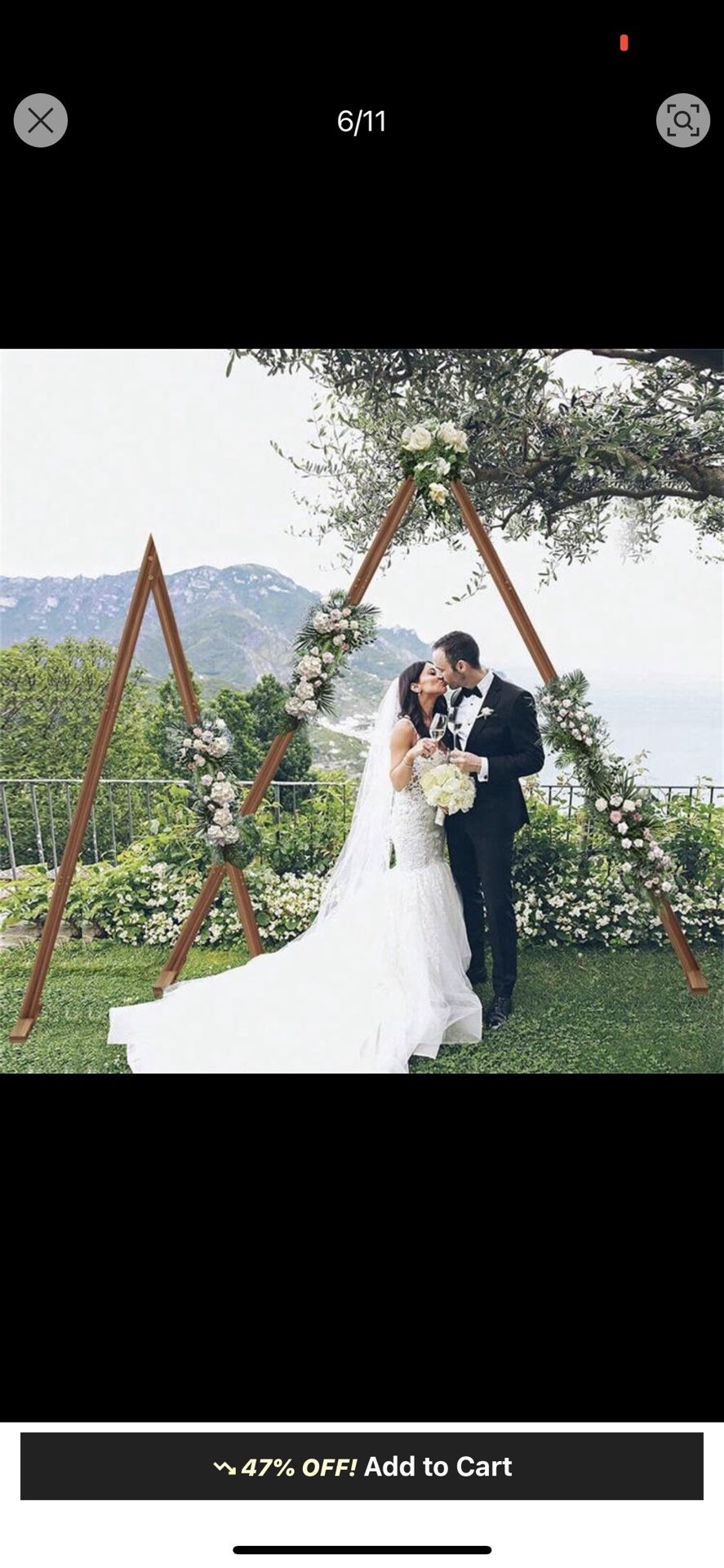 Double Triangle Arch - photo 2