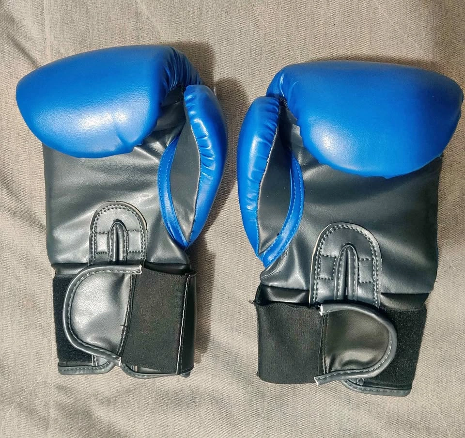 Go zone Boxing gloves