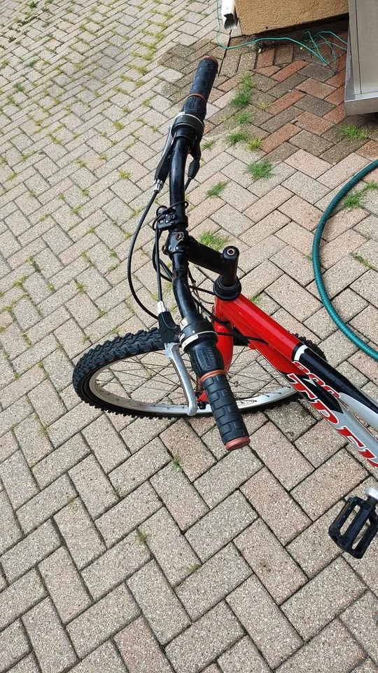 Trek 800 Sport Mountain Bike - photo 4
