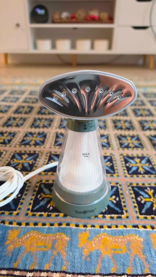 True&Tidy Steamer - photo 2