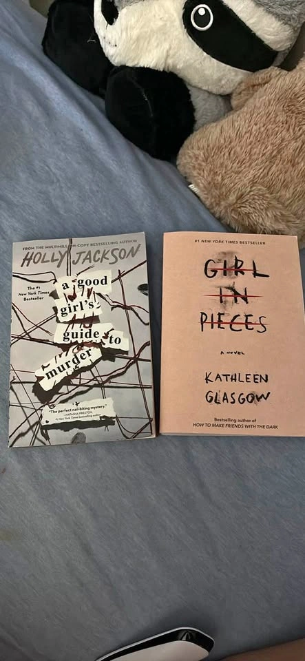 A good girls guide to murder and Girl in pieces