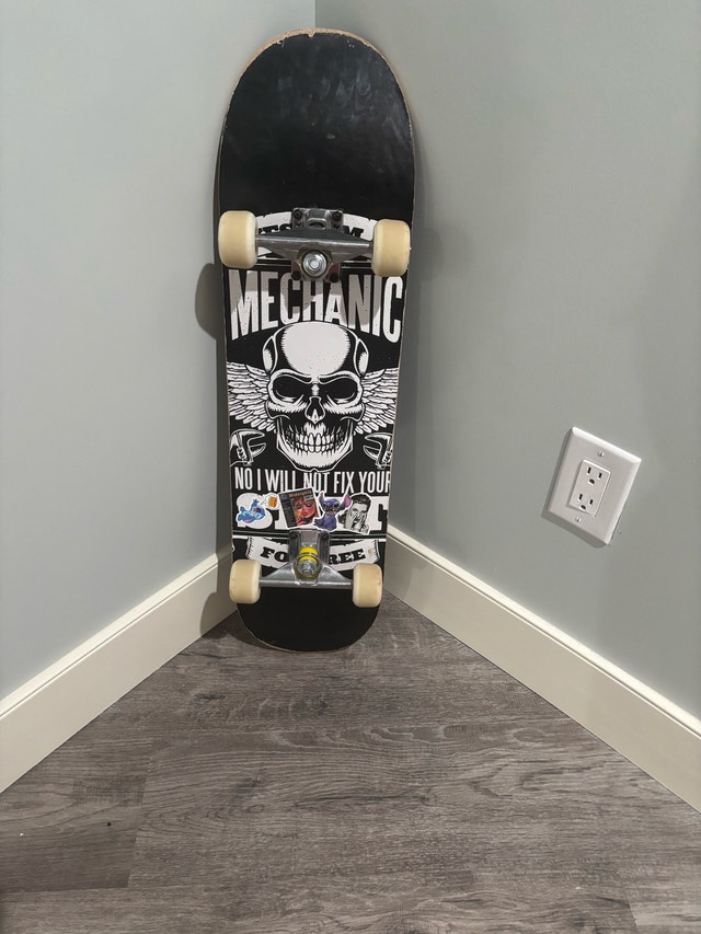 Complete Skateboard Mechanic
