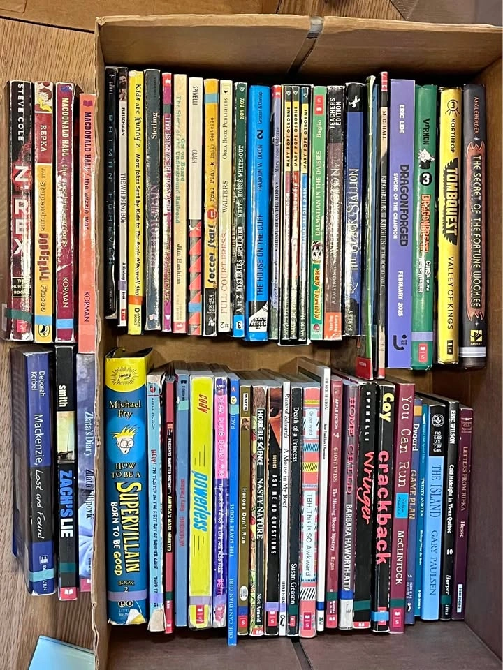 Large Box of Kids’ Books