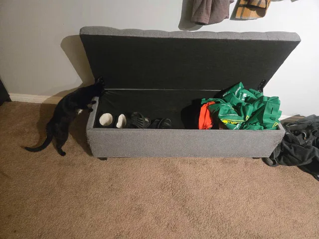 storage bench thumbnail