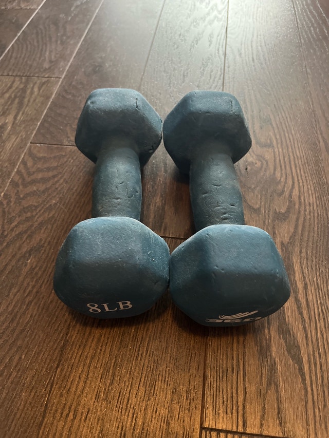 360 Athletics 8lb Dumbbells