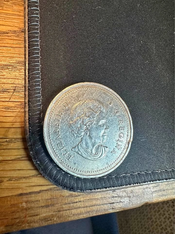Canadian dollar coin