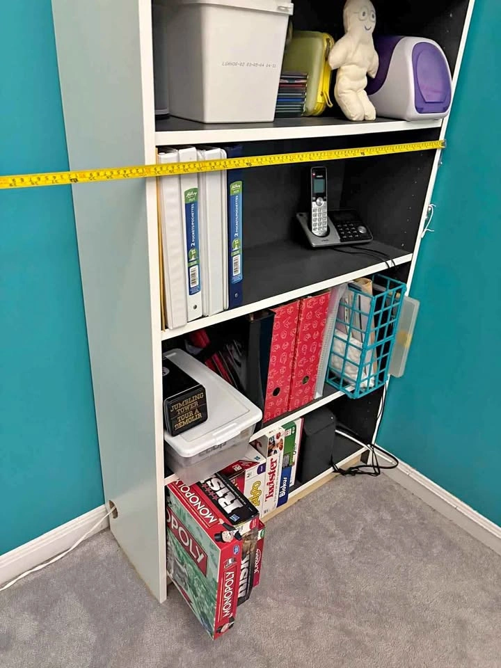 IKEA Billy Bookcase