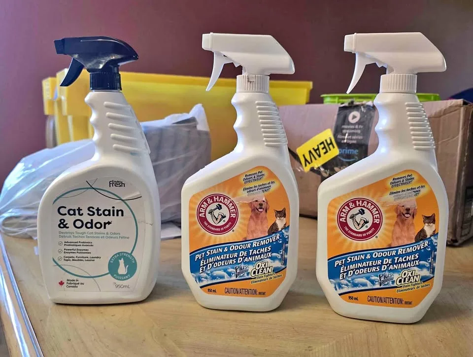 🐾 Pet Stain & Odor Remover Bundle – Only $10 for All! 🧼 thumbnail