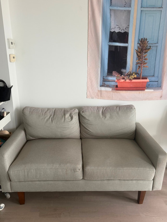 Modern Beige/Grey Loveseat