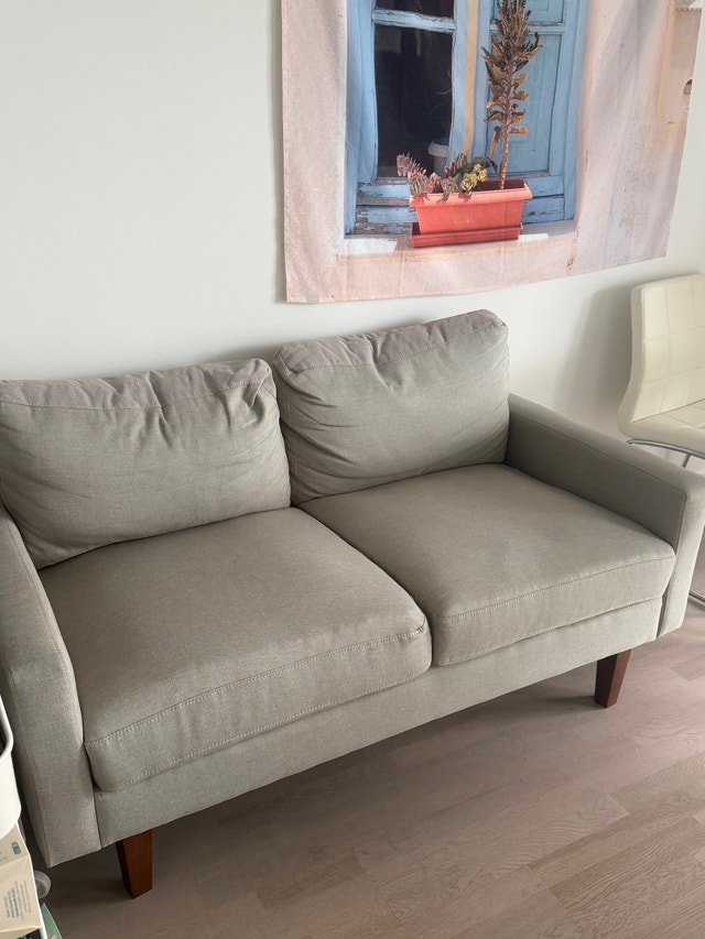Modern Beige/Grey Loveseat - photo 4