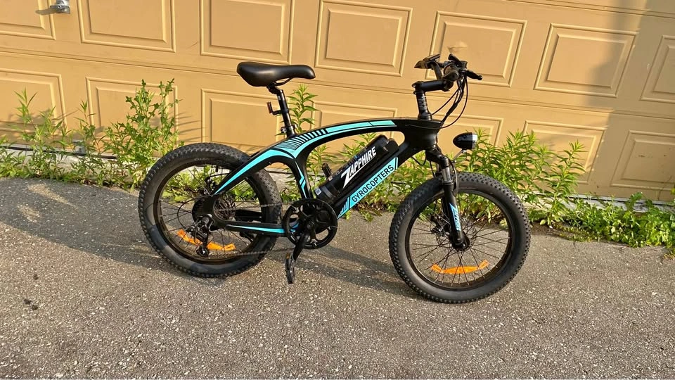 Fat Tire Electric Bike (Open to reasonable offers)
