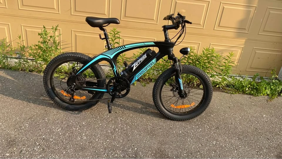 Fat Tire Electric Bike (Open to reasonable offers) - photo 3