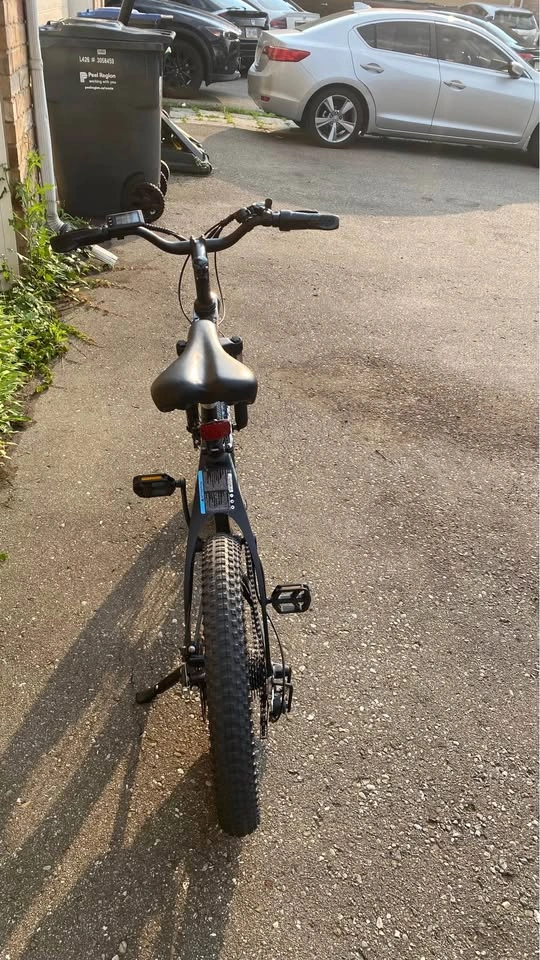 Fat Tire Electric Bike (Open to reasonable offers) - photo 5