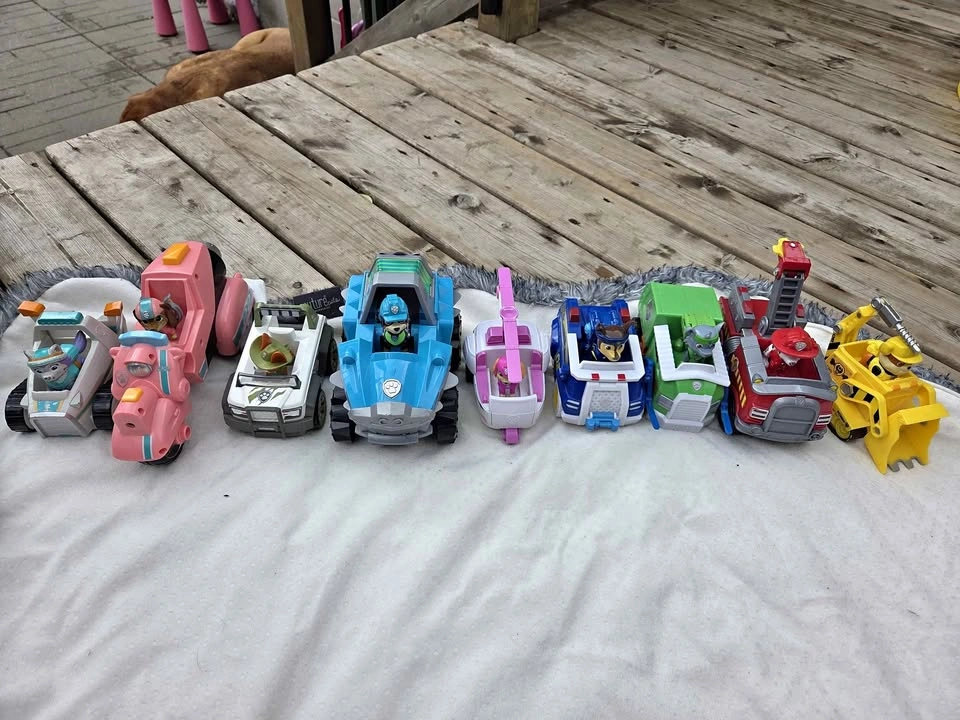 Paw Patrol Vehicles with Pups Lot of 9