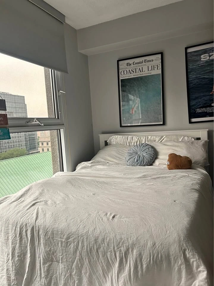 Bed frame & Mattress