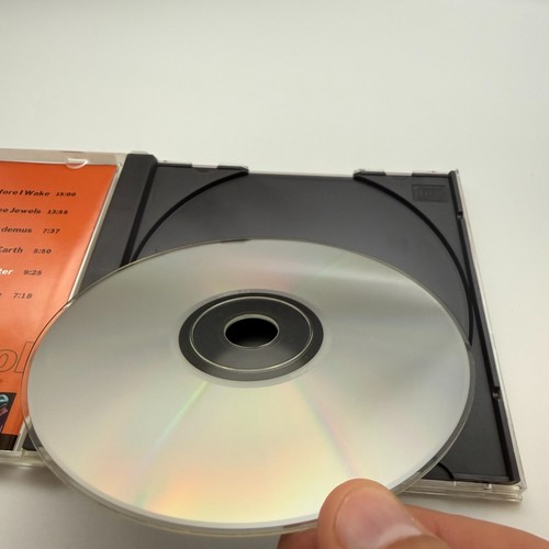 Pharoah Sanders 2-CD Lot: Black Unity & Solomon’s Daughter - photo 4