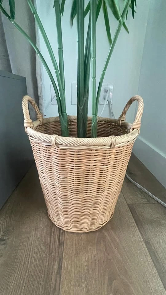 Stylish Plant Indoor plus bucket extra - photo 2