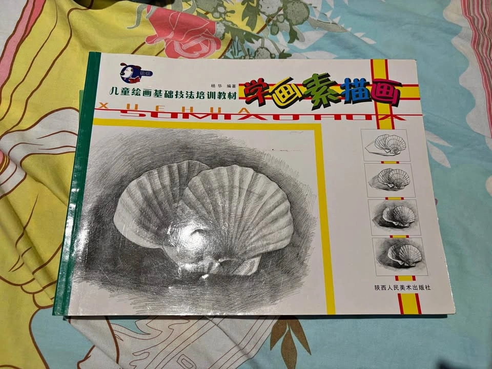Chinese book that teaches drawing and sketching