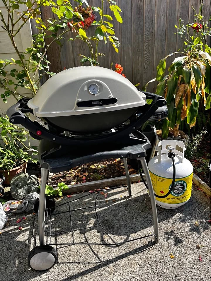Weber Barbecue