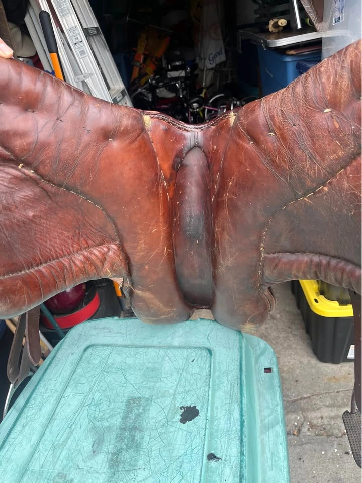 Stübben 32 Horse Saddle pick up and cash only - photo 3