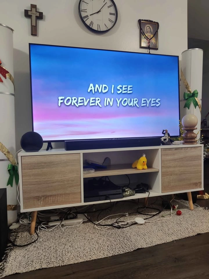 Complete Living Room & Home Theatre Setup - photo 4