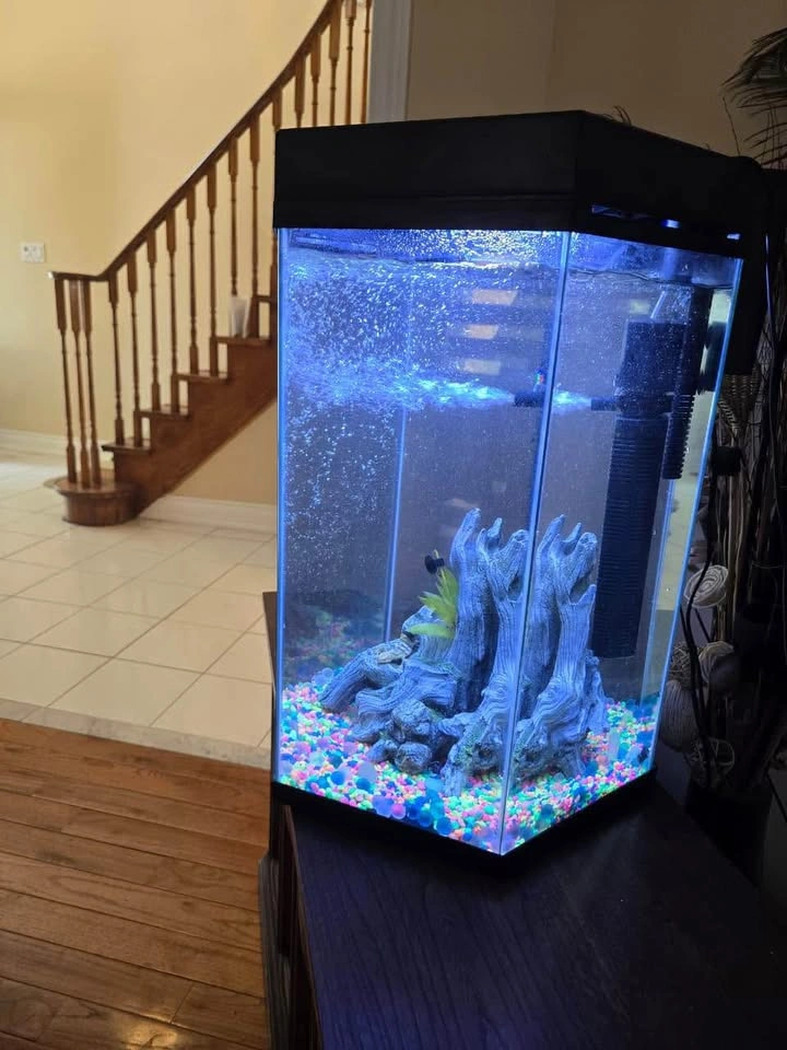 Hexagonal 20 gallon fish aquarium with full setup - photo 2
