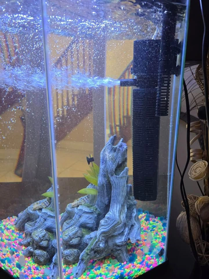Hexagonal 20 gallon fish aquarium with full setup - photo 3