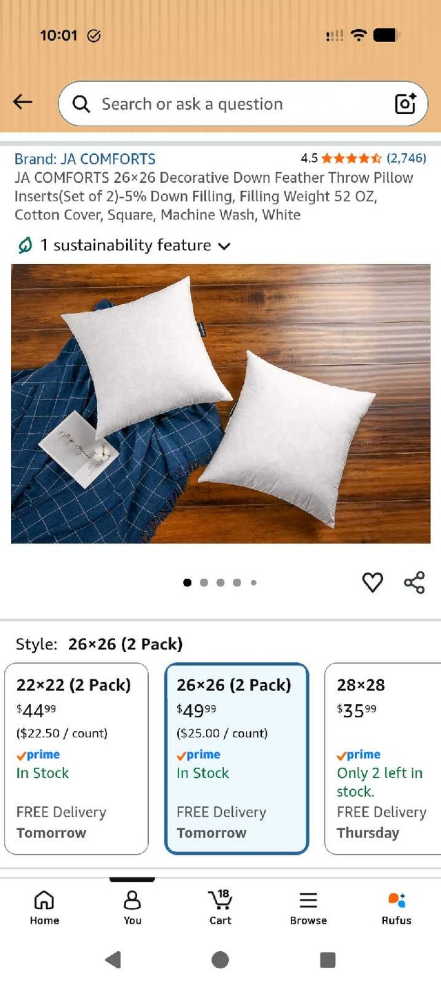 Decorative Throw Pillows (Large) - photo 3