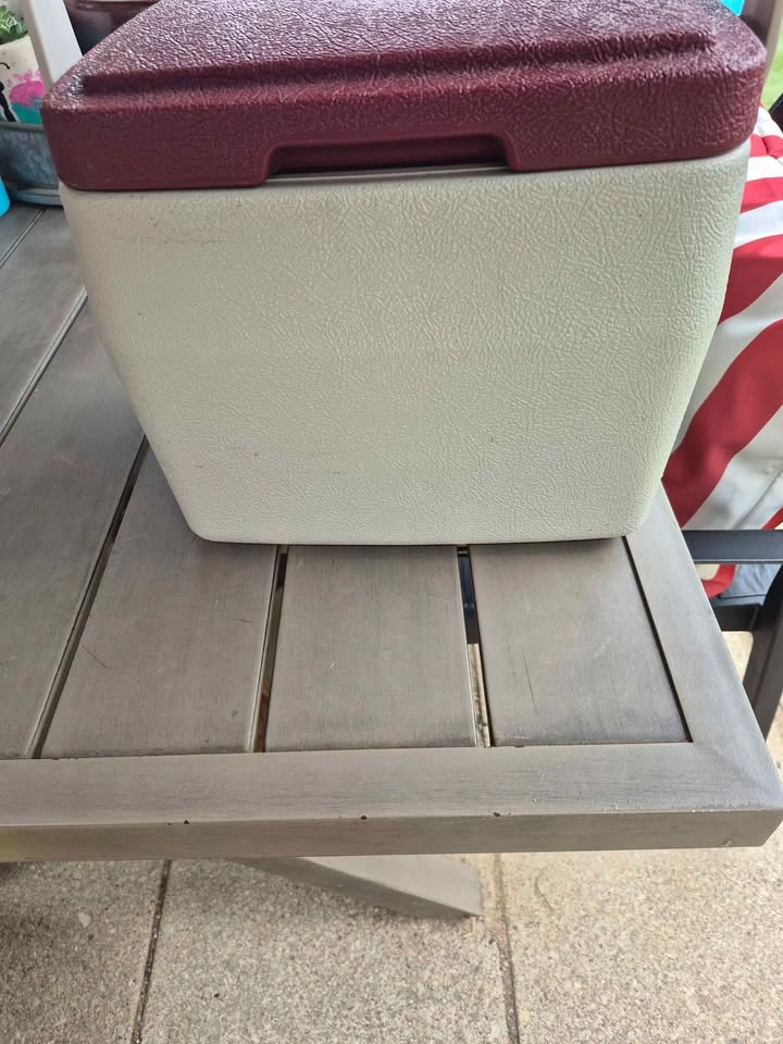 Coleman Personal 8 Cooler - photo 3