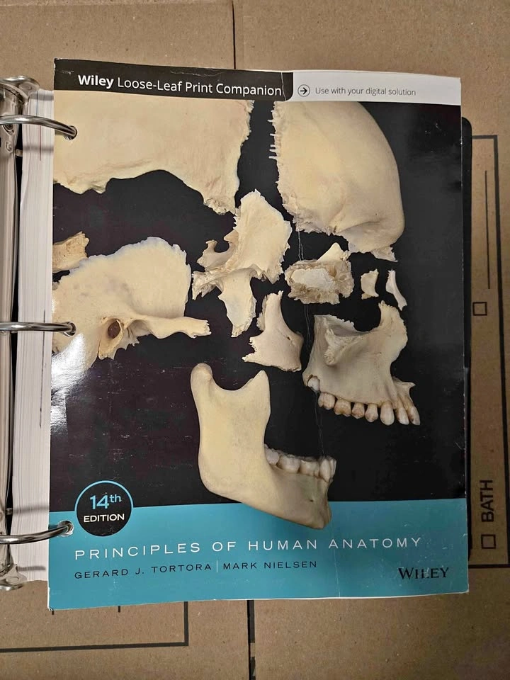 Principles of Human Anatomy 14th Edition