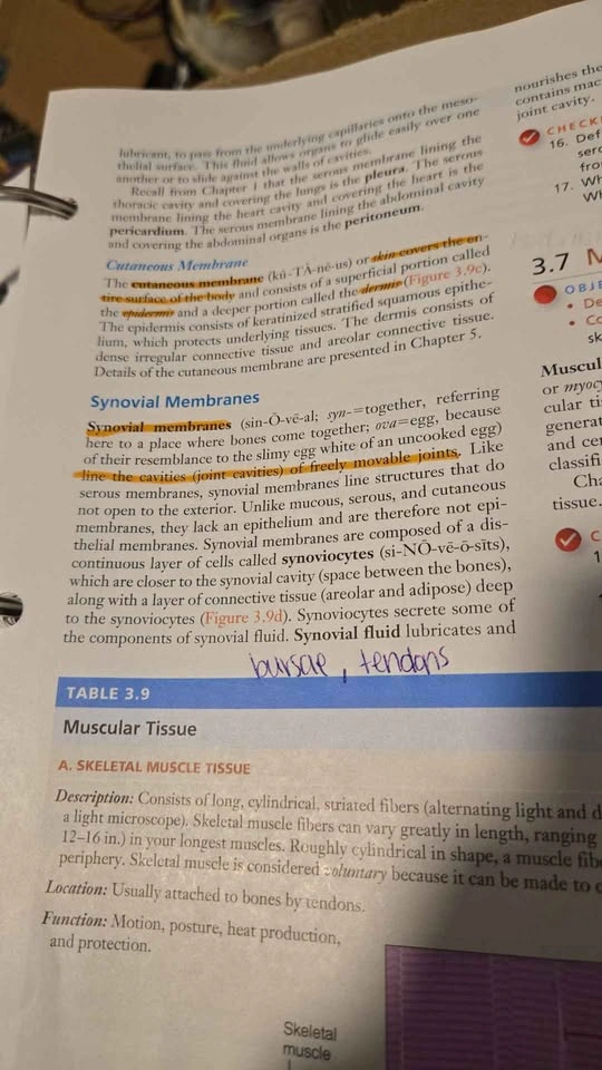 Principles of Human Anatomy 14th Edition - photo 2