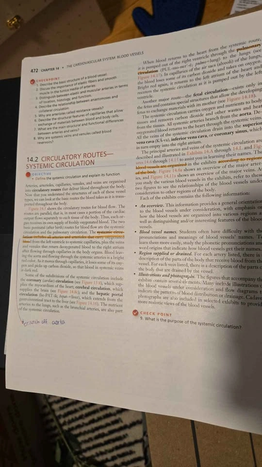 Principles of Human Anatomy 14th Edition - photo 3