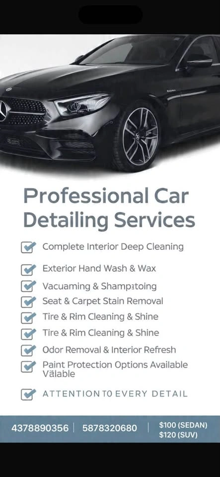 Professional Mobile Car Detailing Services - photo 2