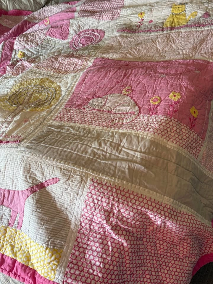 Pottery Barn Kids Kitty Cat Full/Queen Quilt & Sheets - photo 2
