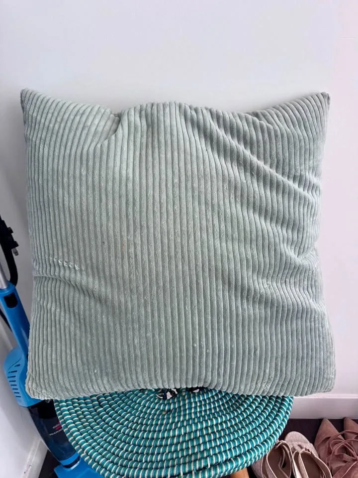 Pillow with pillow case