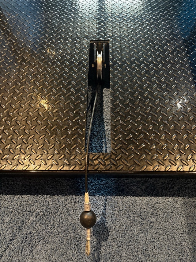 Elite FTS Belt Squat - photo 4