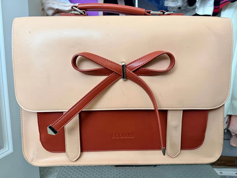 Cute Laptop Bag (Briefcase/Backpack)