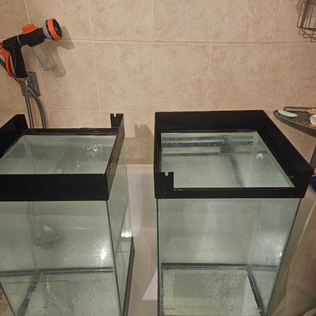 2 tanks. $60 each or $100 for both