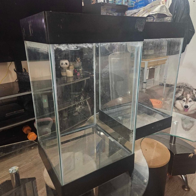 2 tanks. $60 each or $100 for both - photo 2