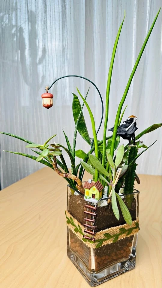 Cute Plant arrangement with Super Low Maintenance Plants