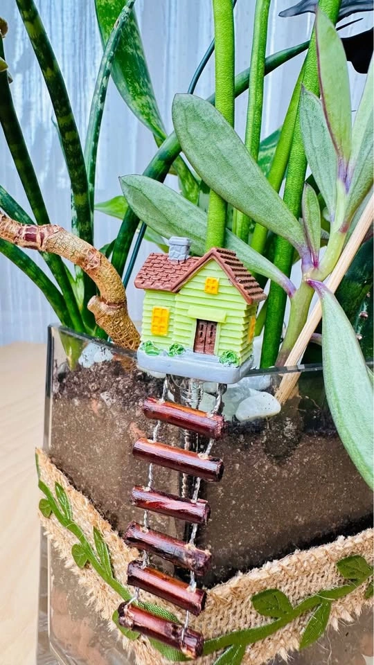 Cute Plant arrangement with Super Low Maintenance Plants - photo 3